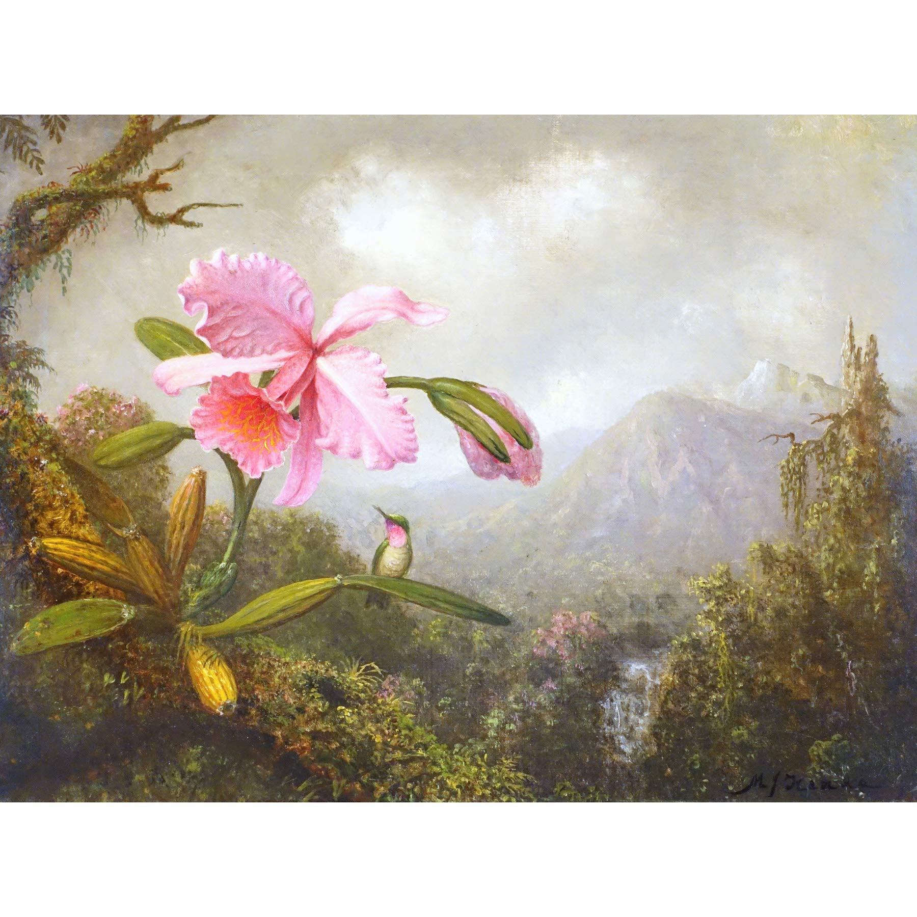 Heade Orchid Hummingbird Mountain Waterfall Painting Large Print Poster Wall Art Decor Picture