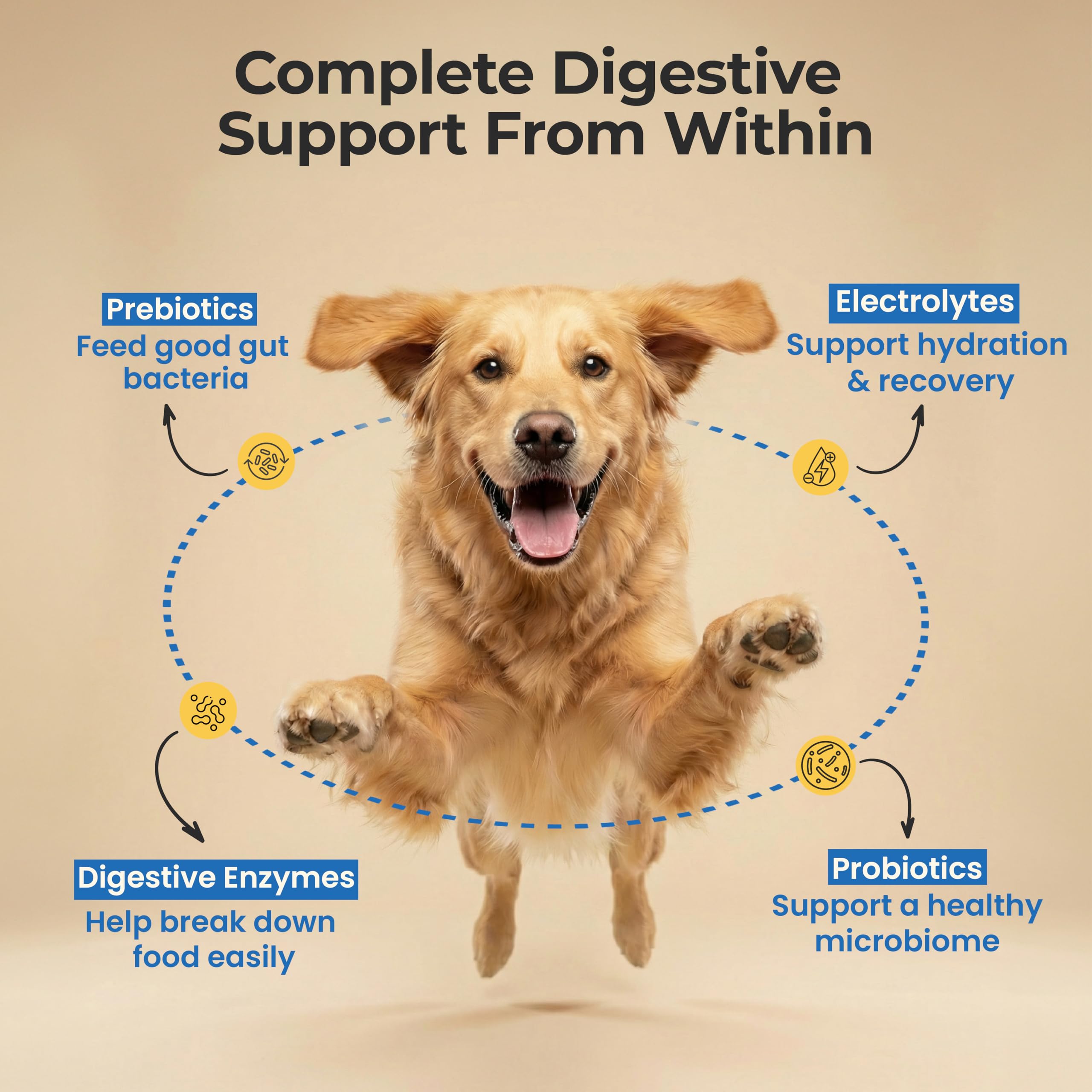 GutCare+, Gut Health-Gutwell Supplement, Probiotic & Prebiotic Digestive Powder for Dogs, Made with Human Grade Ingredients, 10 sachets (Pack of 1) — Amazon image 6