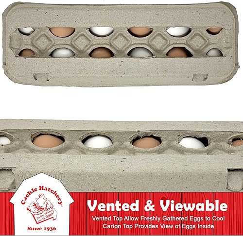 Miniatura 5 de Cartones de pulpa de papel ventilado para huevos (paquete de 24)