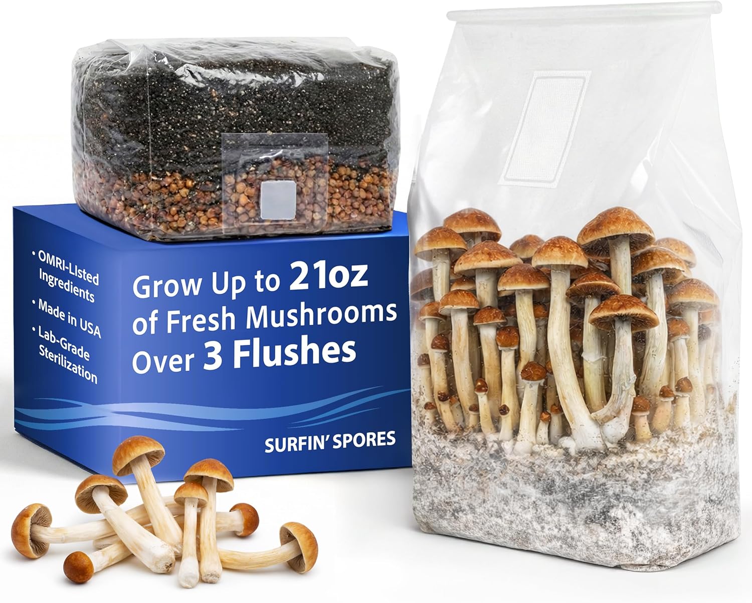 2 LB All-in-One Mushroom Grow Bag, Up to 21oz of Fresh Mushrooms Over 3 Flushes, Sterilized Grain & Dung-Loving Substrate, Injection Port, OMRI-Listed, Made in USA, Just Add Spores