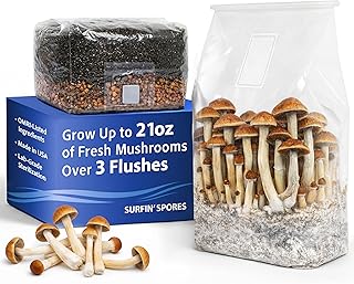 2 LB All-in-One Mushroom Grow Bag, Up to 21oz of Fresh Mushrooms Over 3 Flushes, Sterilized Grain & Dung-Loving Substrate, Injection Port, OMRI-Listed, Made in USA, Just Add Spores