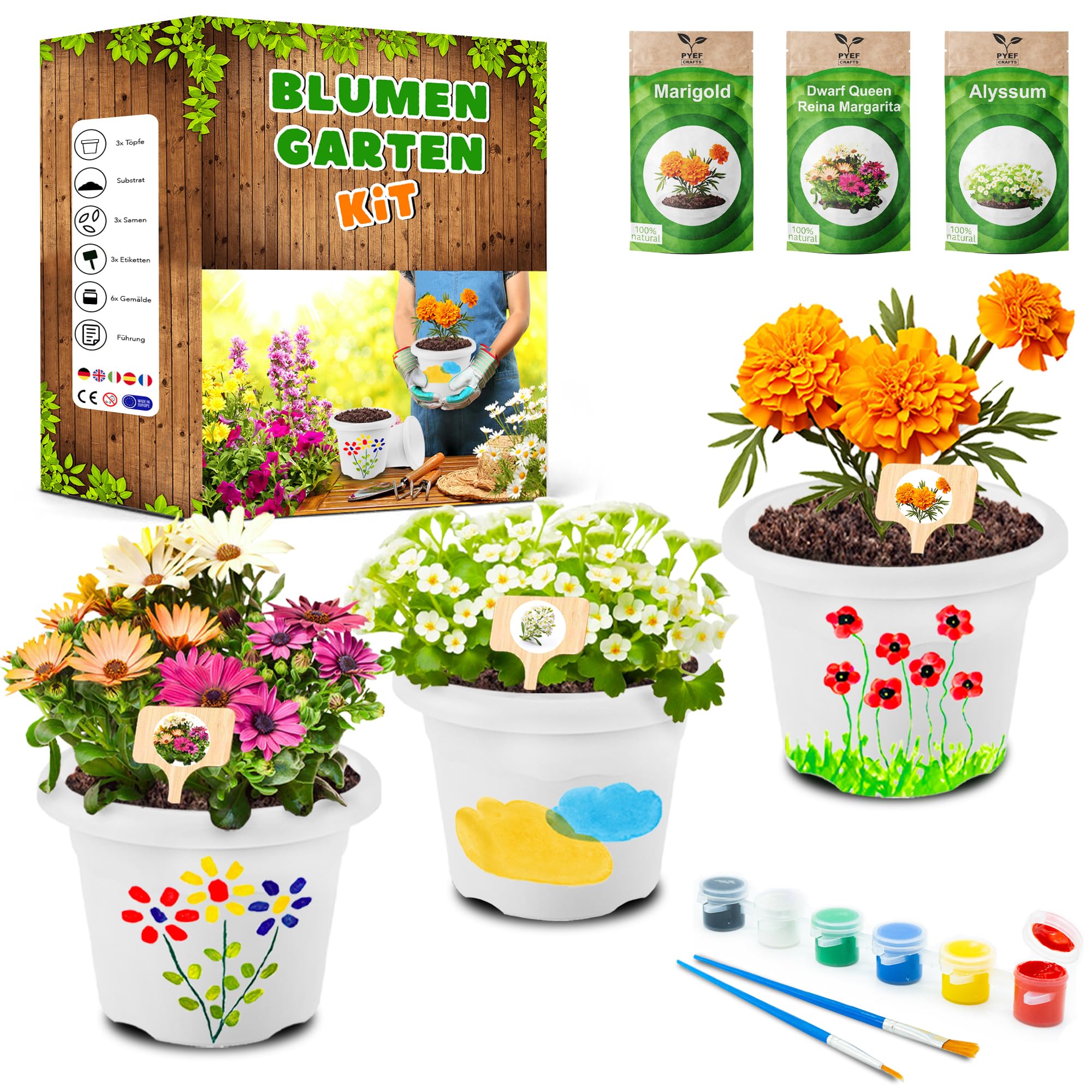 PYEF CRAFTS Pflanzset Kinder Anzuchtset Kinder Gartenset - Gärtner Set & Blumen Anzuchtset - Gartenset Pflanzen Set - Mini Garten Anzuchtsets für Blumen & Kräuter