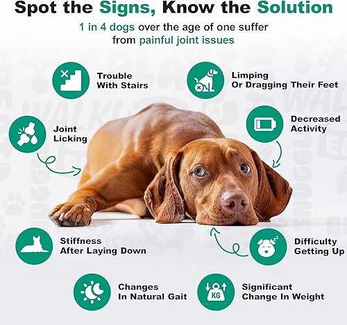 Miniatura 8 de Doggie Dailies, Suplemento de cadera y articulaciones para perros, condroitina glucosamina, masticables prémium para cadera y articulaciones para