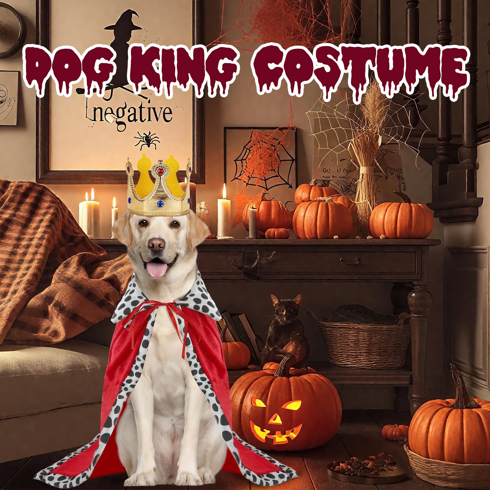 RANYPET Dog King Costume - Image 2