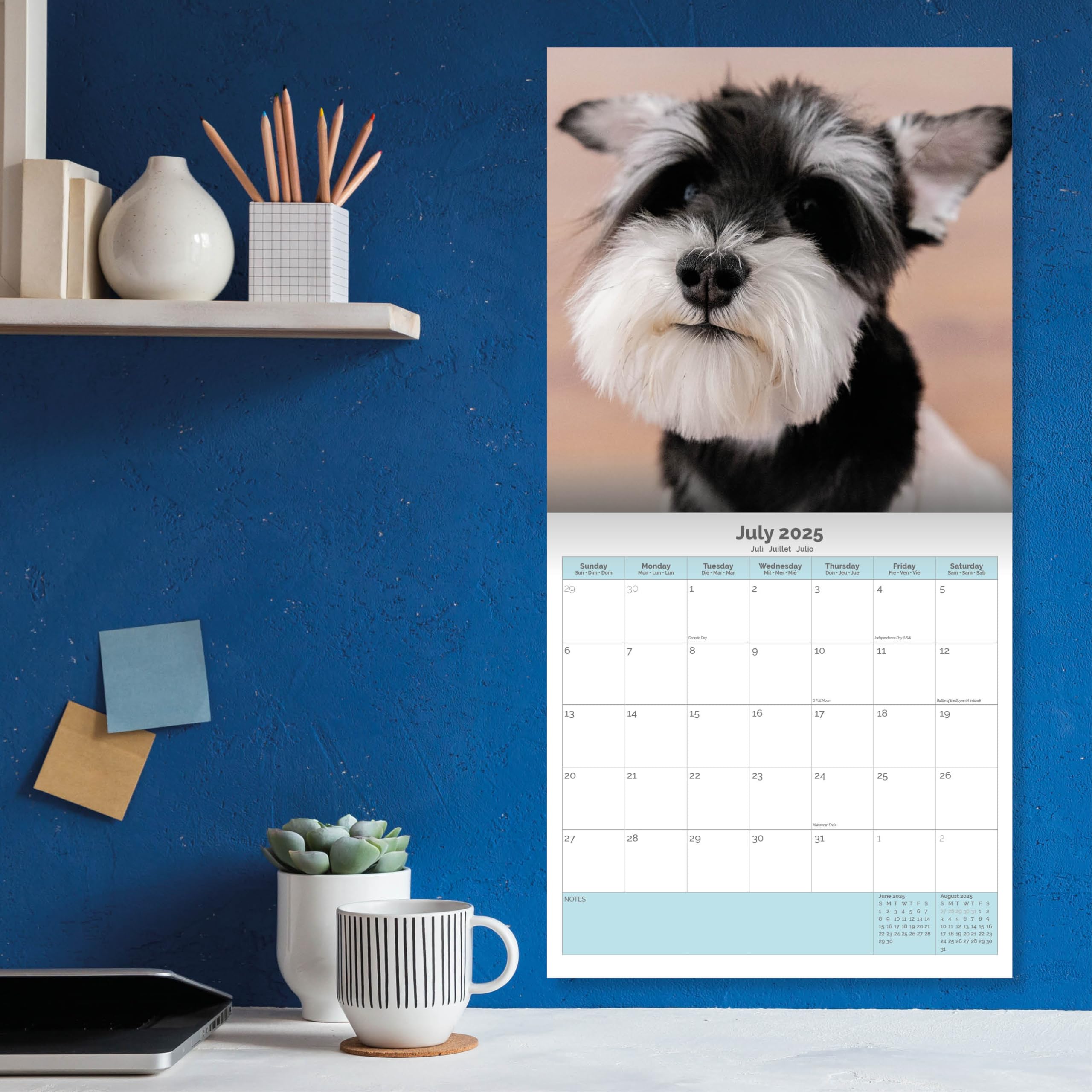 Baker and Bray Miniature Schnauzer Puppies Calendar 2026, Large Square Wall Calendar With Organisational Stickers, 16 Month - Image 4