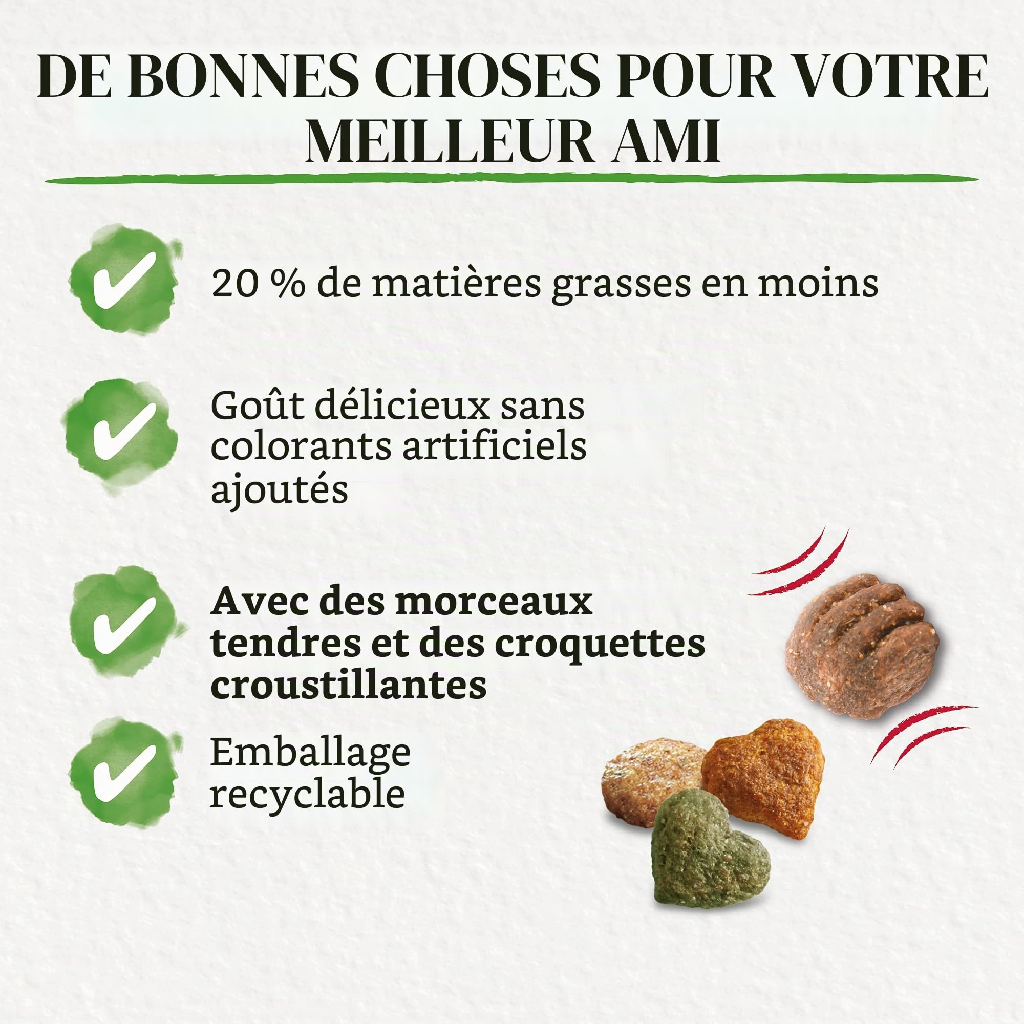 Beneful Nourriture sèche pour Chien - avec Poulet et légumes du Jardin - 1 Paquet (1 x 12 kg)
