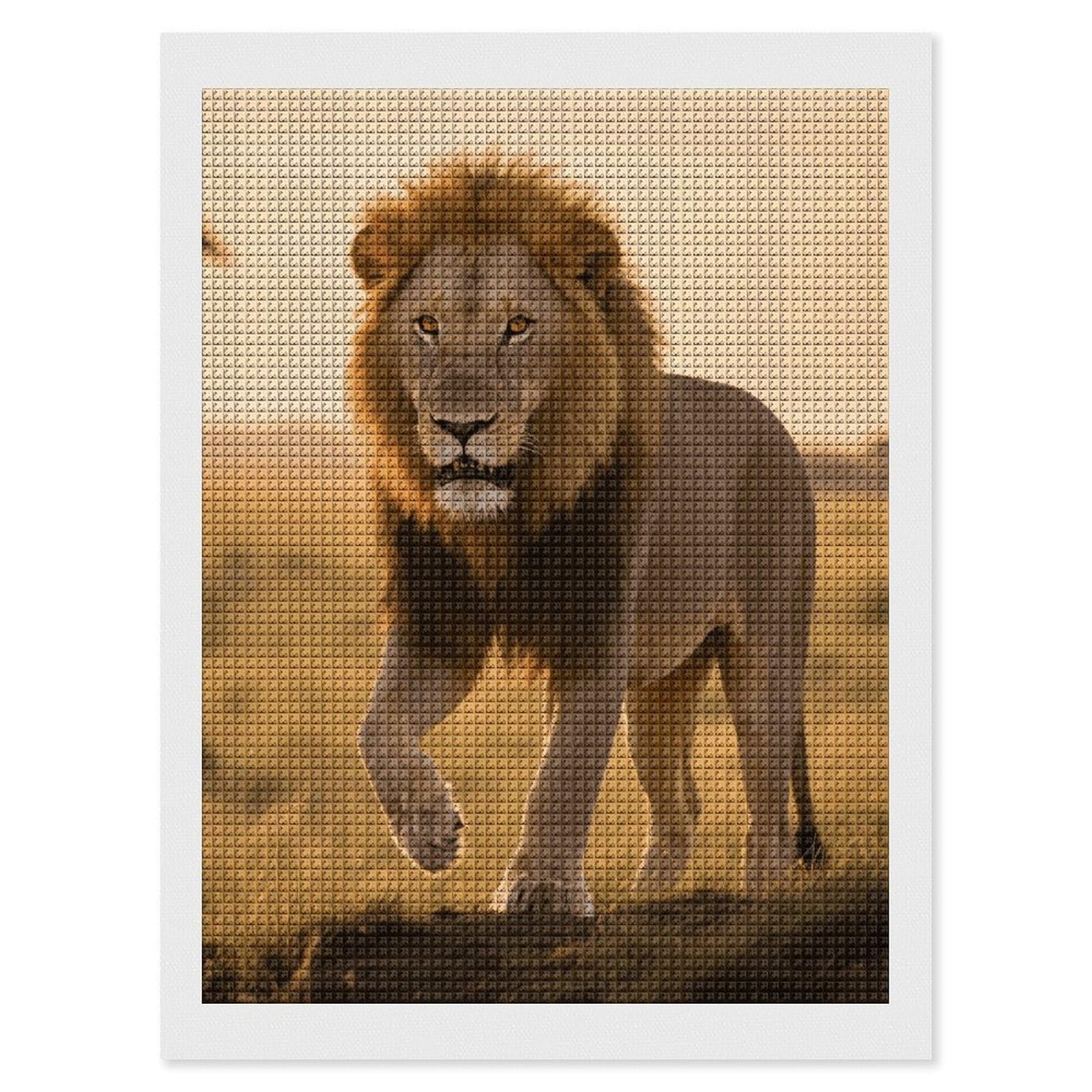 FodPand Grassland Lion 5D Diamond Painting Kits for Adults Beginners Full Drill Square Diamond Dots Pictures Gem Art Supplies for Home Wall Room Decoration DIY Craft Set Gift 12x16