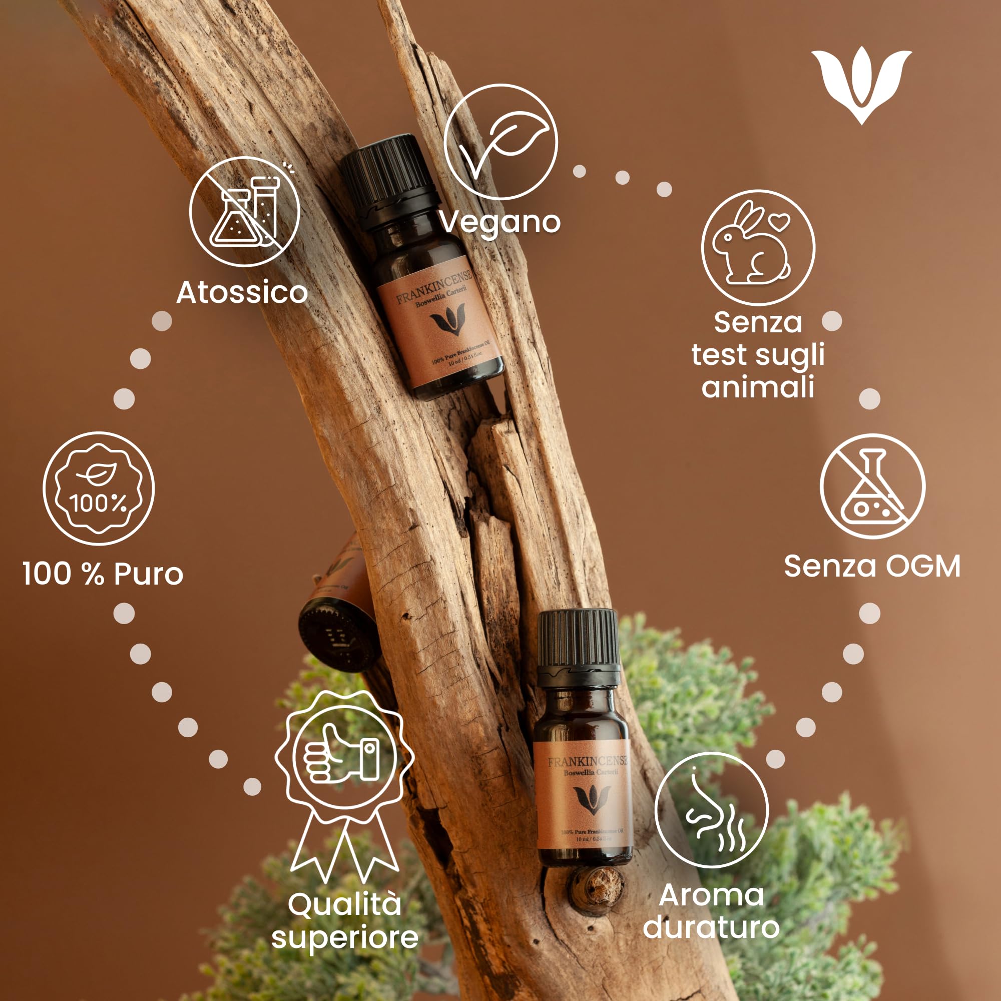 Olio Essenziale Incenso - Puro al 100%, 10ml di Incenso | Naturale Distillato a Vapore Essenziale per il Viso, Olio Per Diffusore Ambiente