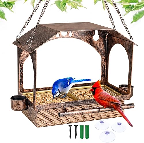 Comedero para pájaros con ventosa potente, comedero para pájaros en ventana para ver, ventana de comedero de pájaros, comederos para pájaros para