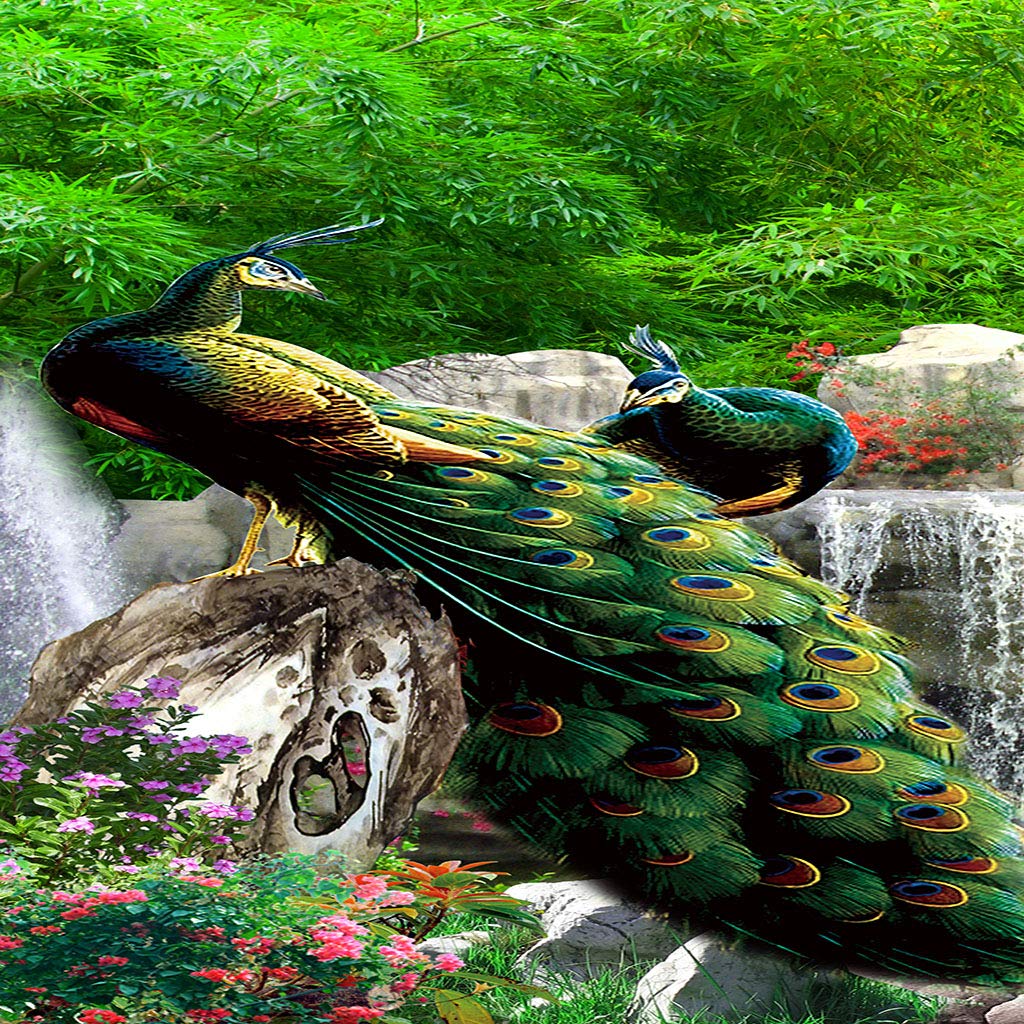 Manta De Franela De Microfibra 150X200Cm Manta De Felpa Suave para Sofá Cama 3D Pavo Real Animal Verde Impresión Patrón Polar Invierno Gruesa Y Esponjosa Caliente Transpirable