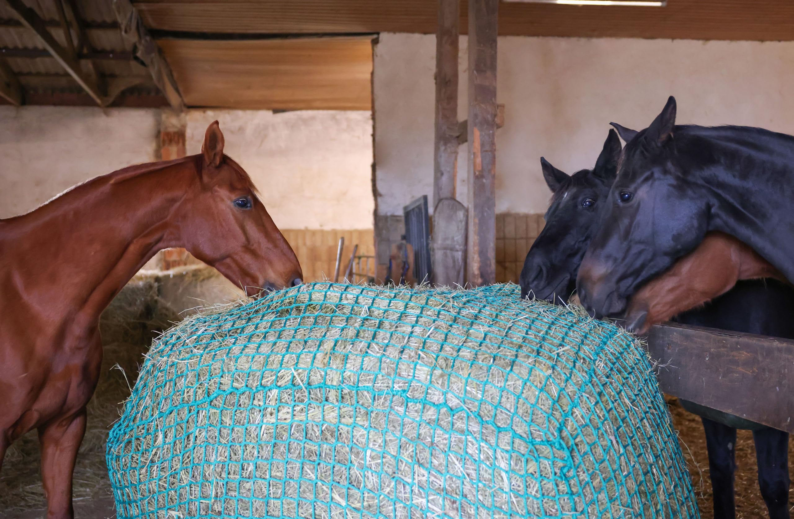Kerbl Red de heno para pacas Redondas, 150 cm, Red de alimentación, Verde, Polipropileno, 150 cm, 4,5x4,5 cm, Caballos, fijación con Cuerda elástica de 6 mm | Hasta 150 cm, verde, polipropileno, malla de 4,5 × 4,5 cm, fijación segura con cuerda elástica d