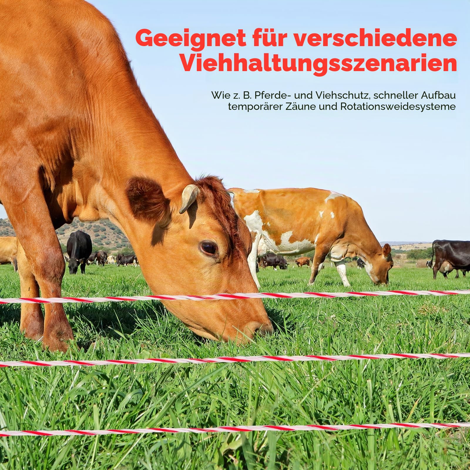 Weidezaunlitze 500m, 2mm 6 Stränge Edelstahl Litze Weidezaun Elektrozaun, Robuste Kordel, Hohe Leitfähigkeit Weidezaun Seil für Hunde, Pferde, Rinder, Schafe (Weiß-Rot)