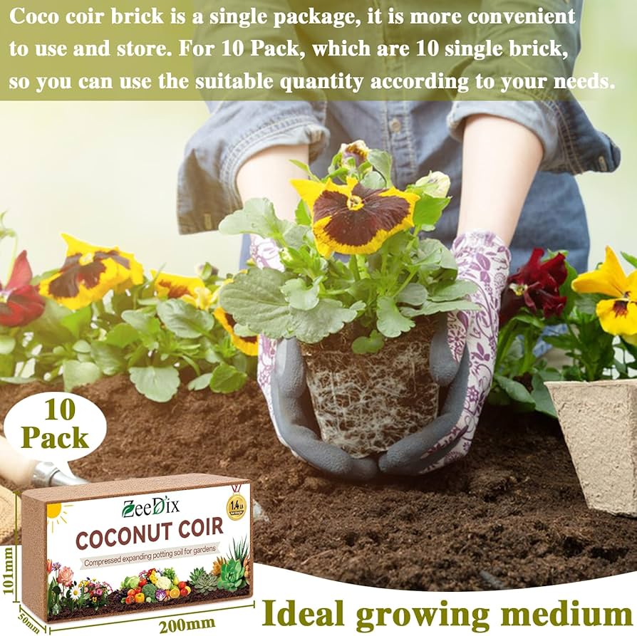 Amazon.com : ZeeDix 10 Pack Coconut Coir Bricks, 100% Organic