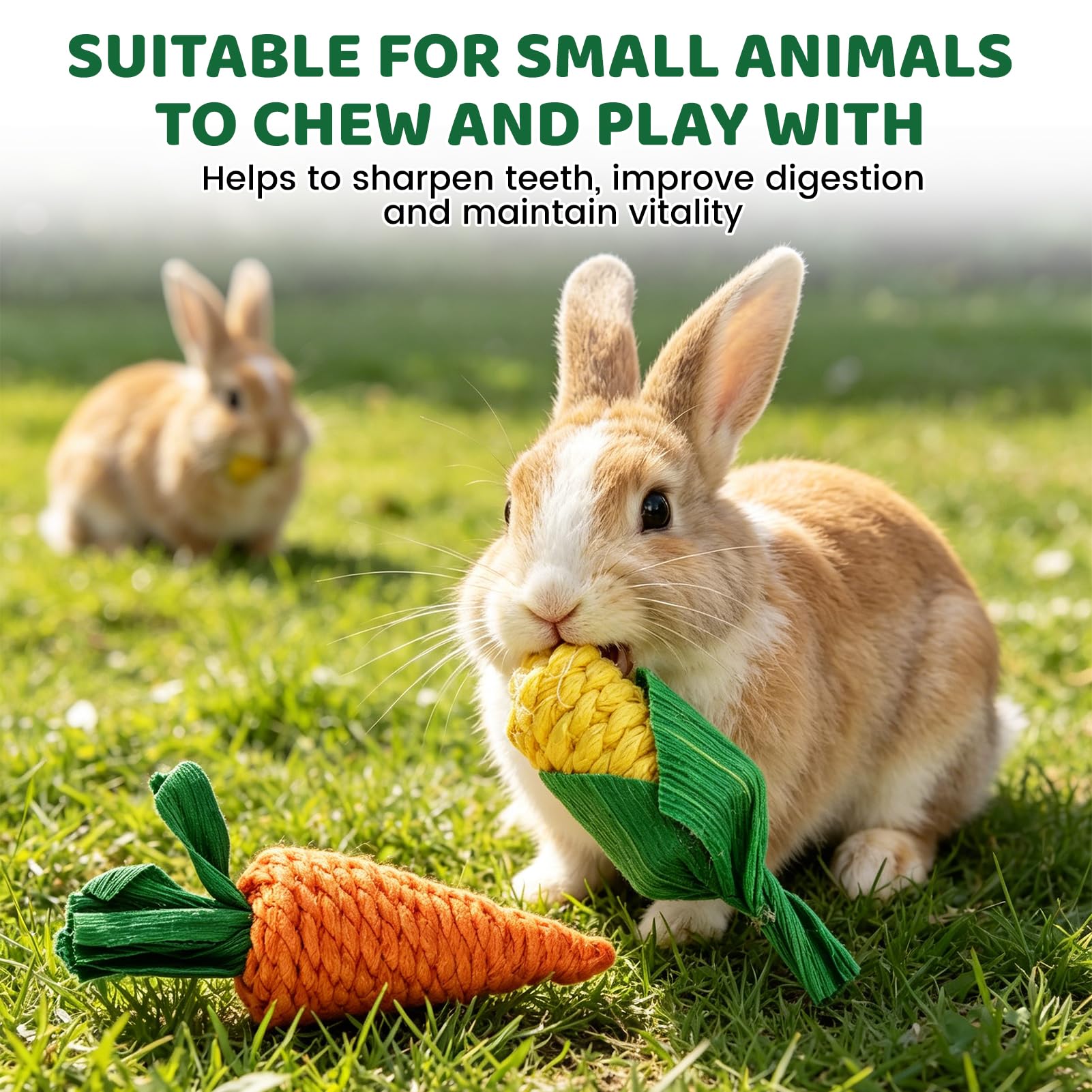 Juego de 21 juguetes de conejo, juguete natural para conejos de indias, hámster, chinchillas, palillos de madera de manzana para animales pequeños, cuidado dental — view 5