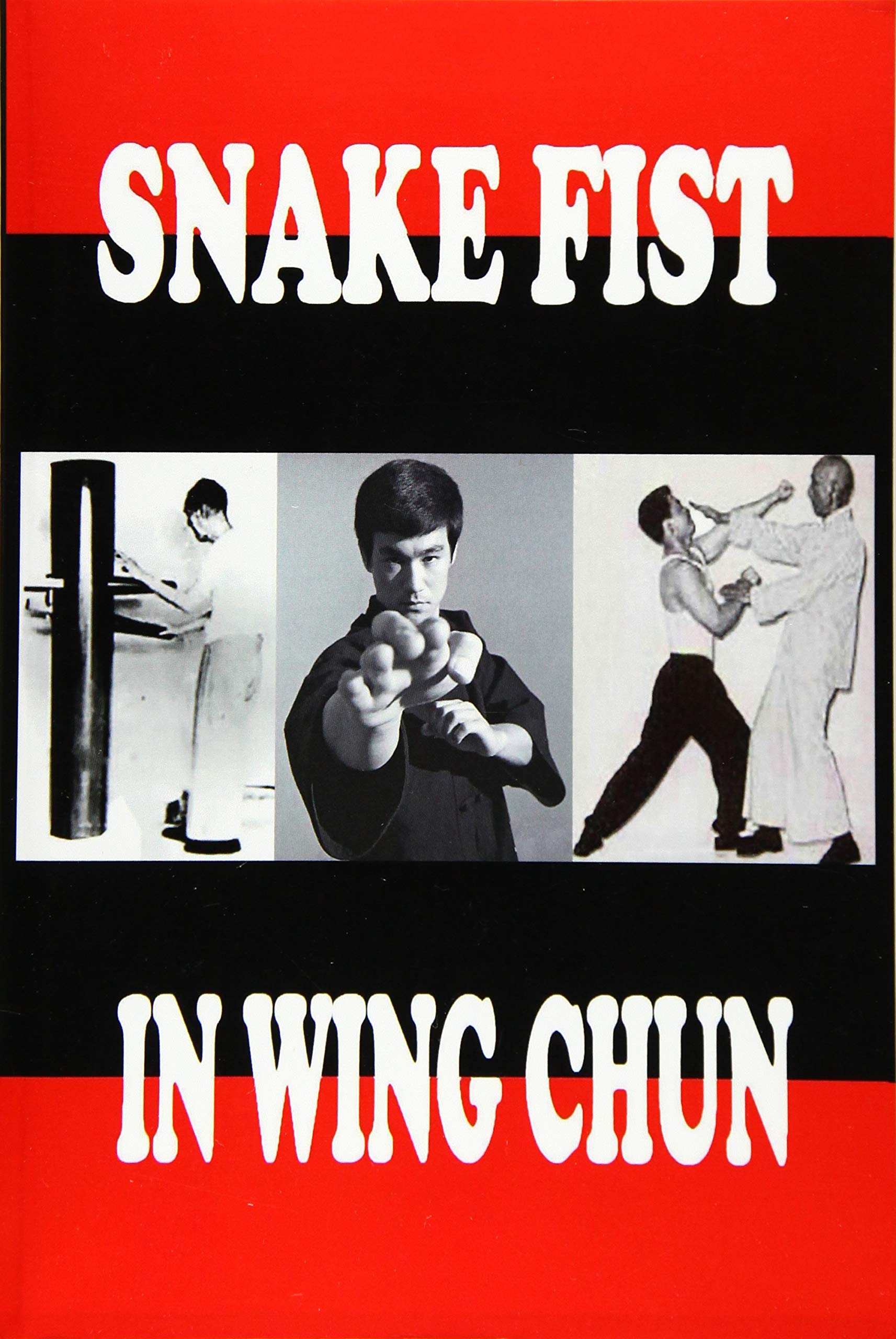 CREATESPACE Snake Fist in Wing Chun