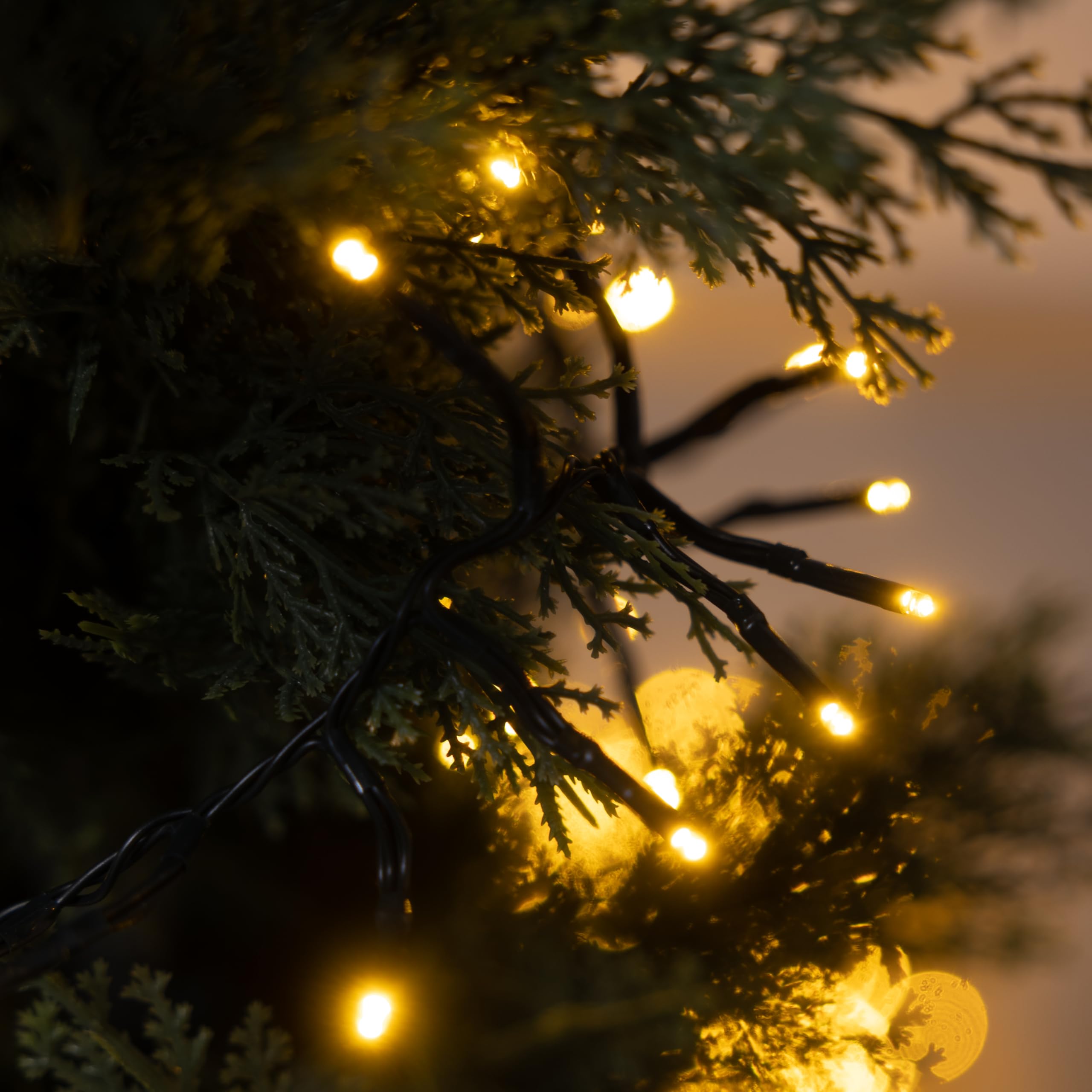 Luccika Cluster - Luces de racimo con LED de 3 mm de diámetro, 4 efectos de luz, mando a distancia, temporizador, cable verde IP44 para uso interior/exterior, 31 V (dorado, 19,5 metros – 2184 LED)