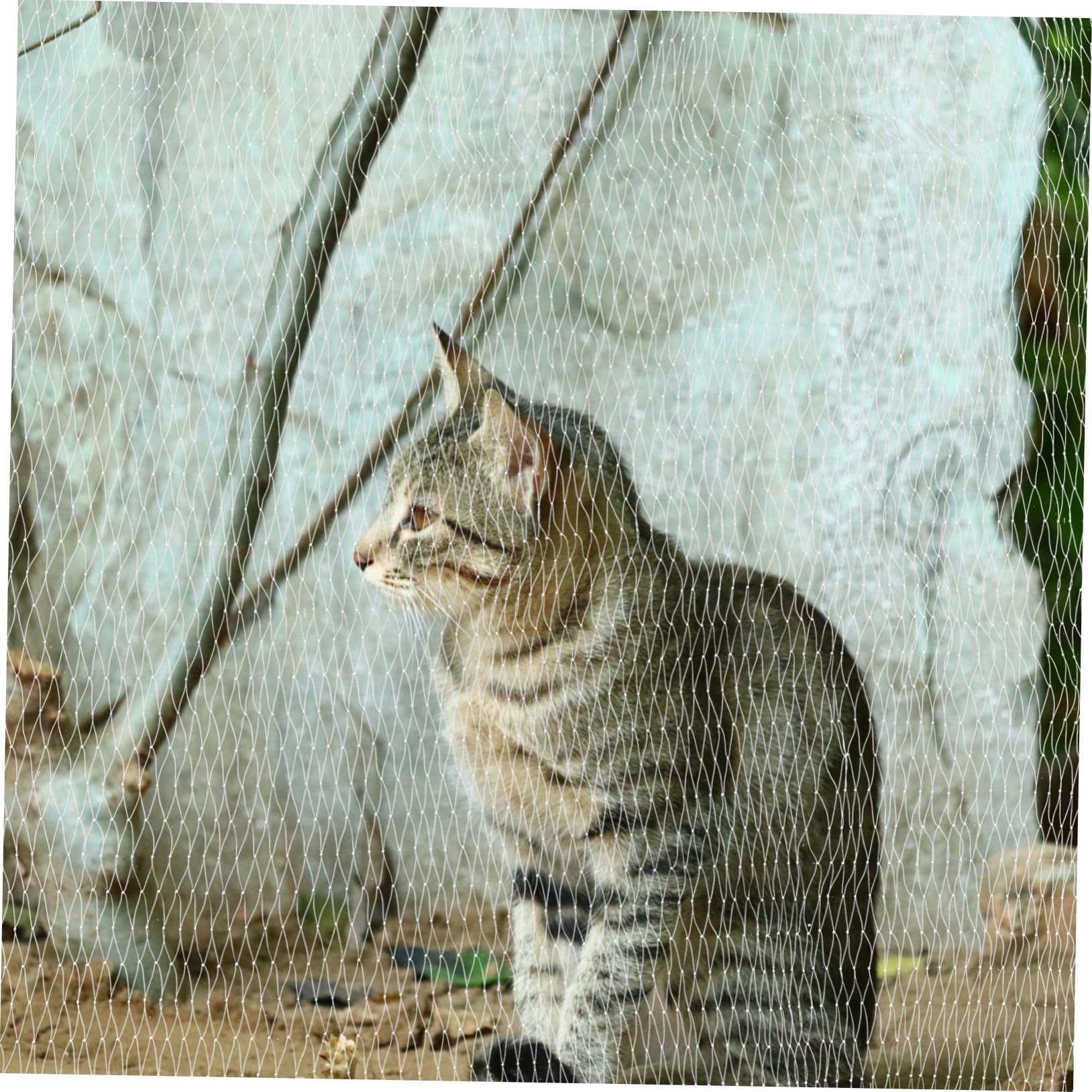 iplusmile Katzennetz für Balkon und Fenster Sicherheitsnetz aus Nylon Absturzsicherung für Haustiere Kletternetz für Katzen ohne Bohren Schnell Montiert Engmaschig für Terrasse und Dach