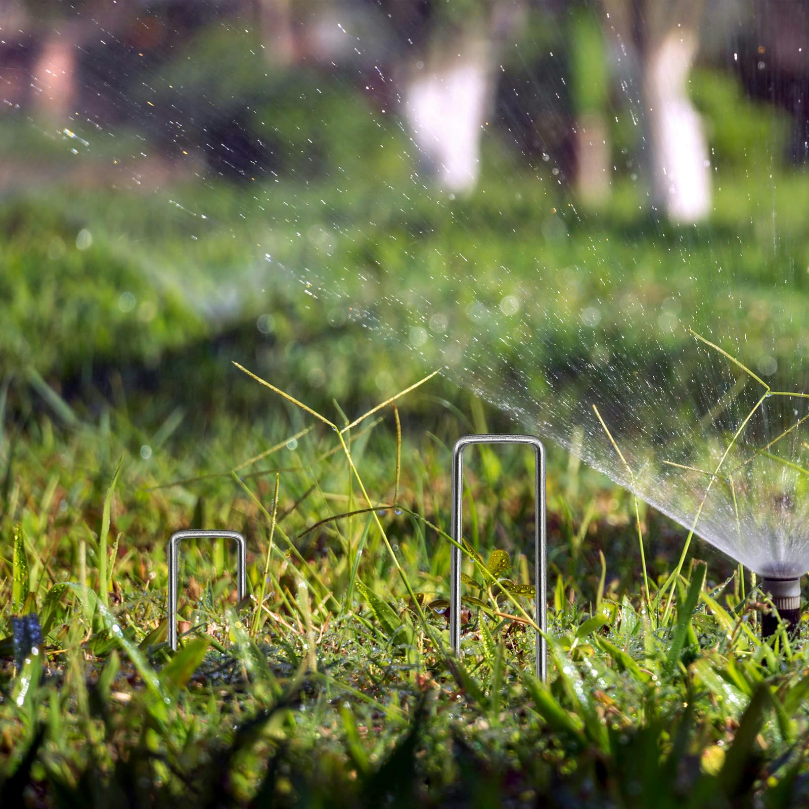 Paquete de 200 grapas galvanizadas de 6 pulgadas, grapas de césped de calibre 12, estacas de jardín resistentes para asegurar sin esfuerzo la tela de barrera de malezas, estabilización del suelo y