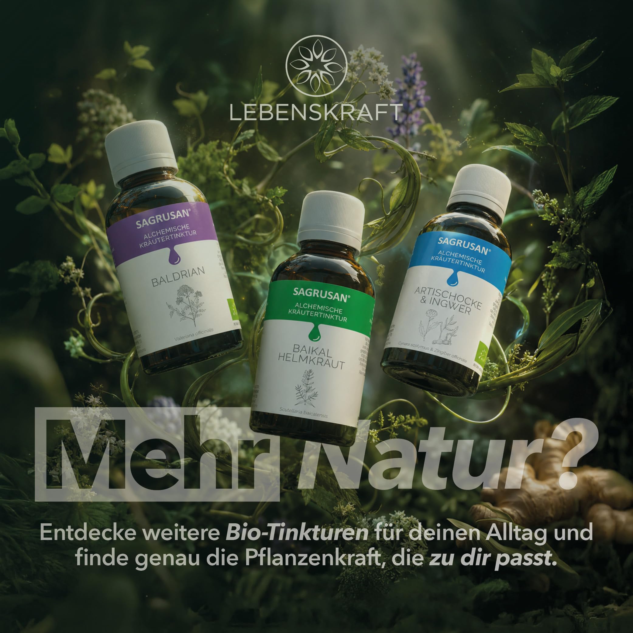 Artemisia Annua & Moringa oleifera 100ml Pflanzenextrakt