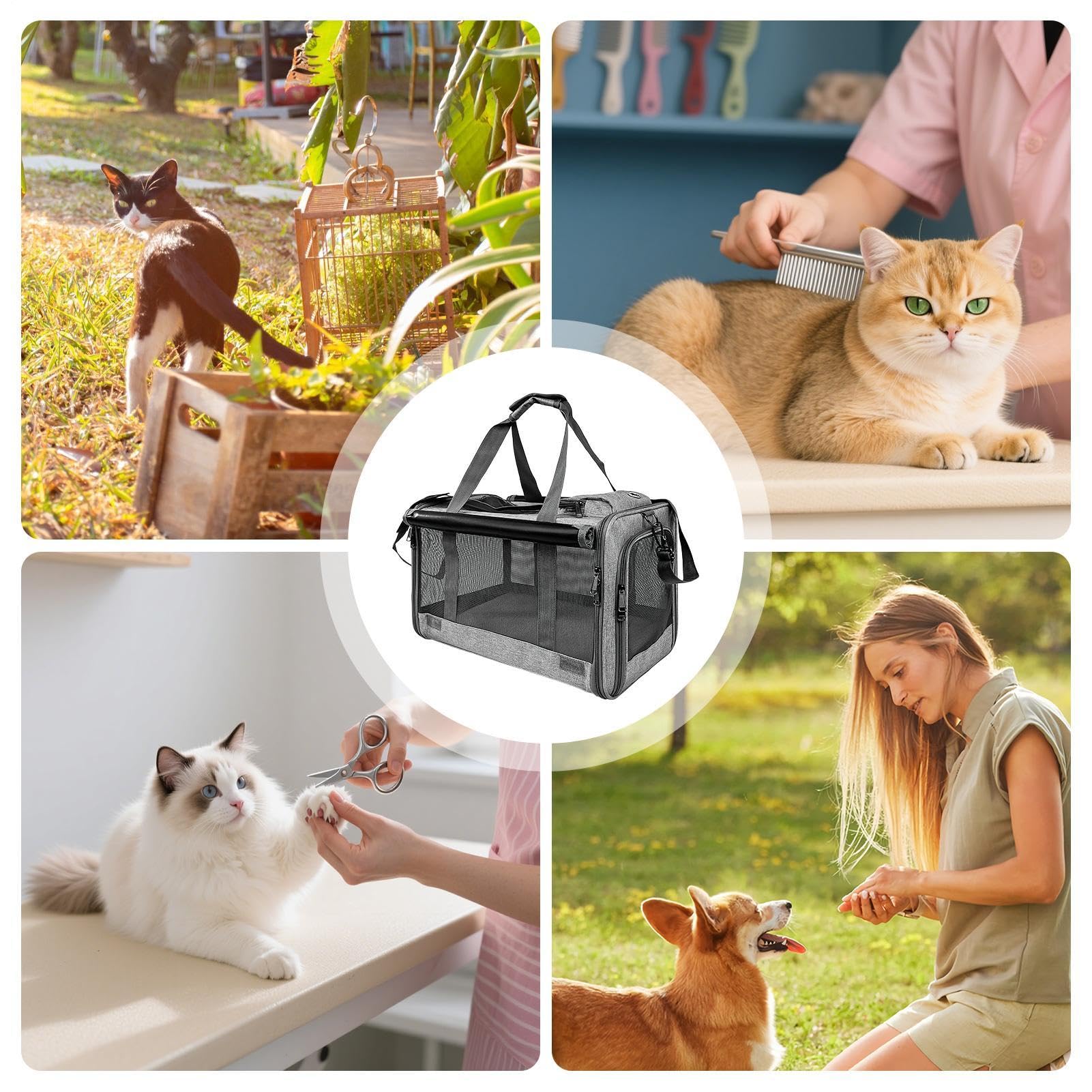 Transportín para Gatos Hasta 9 kg Bolsa de Viaje Transpirable y Portátil | Transportín Pequeño para Mascotas Para Moto Camping Avión Coche Veterinaria al Aire Libre