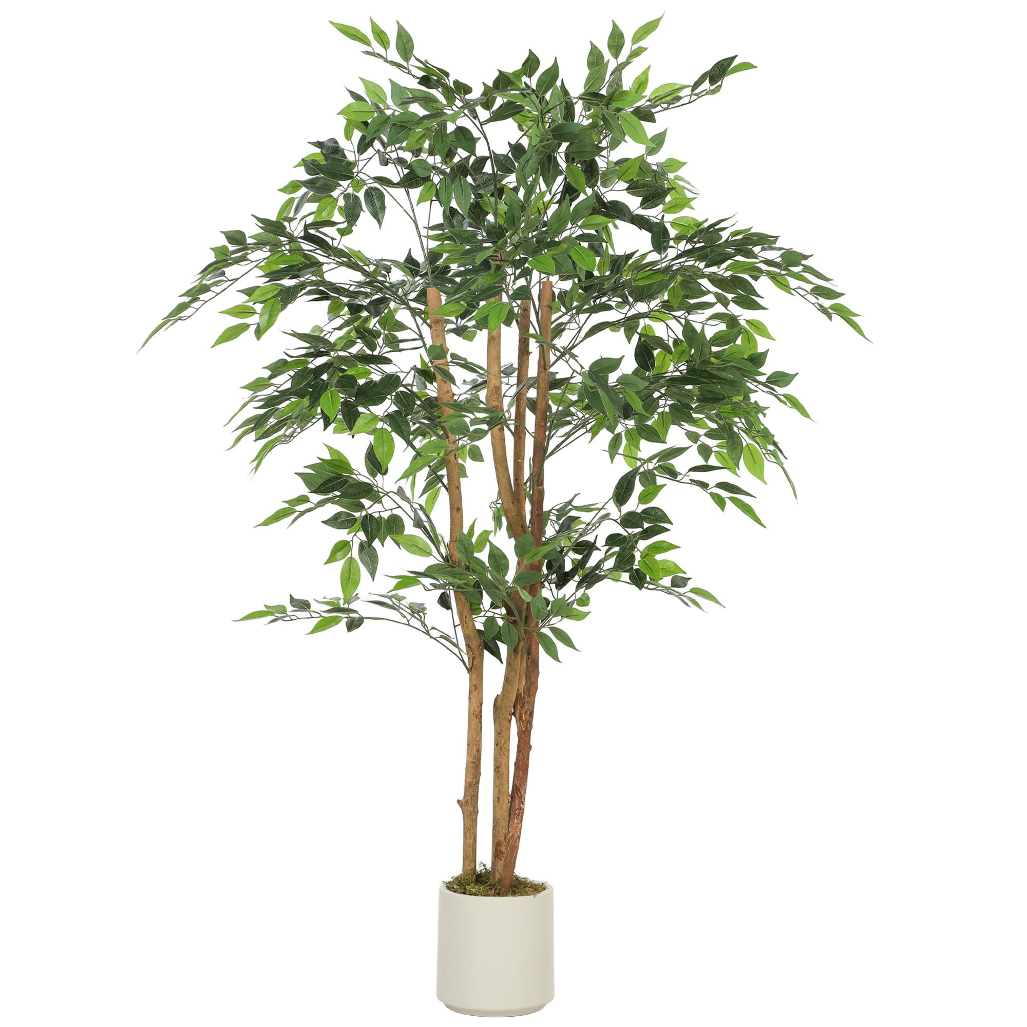 HOMCOM Pianta Artificiale di Baniano con Rami Orientabili e Vaso Contenitore Bianco in PP e Cemento, Pianta Verde in PEVA e Legno, per Interno, Ufficio, Soggiorno, Camera da Letto, 65x65x150 cm