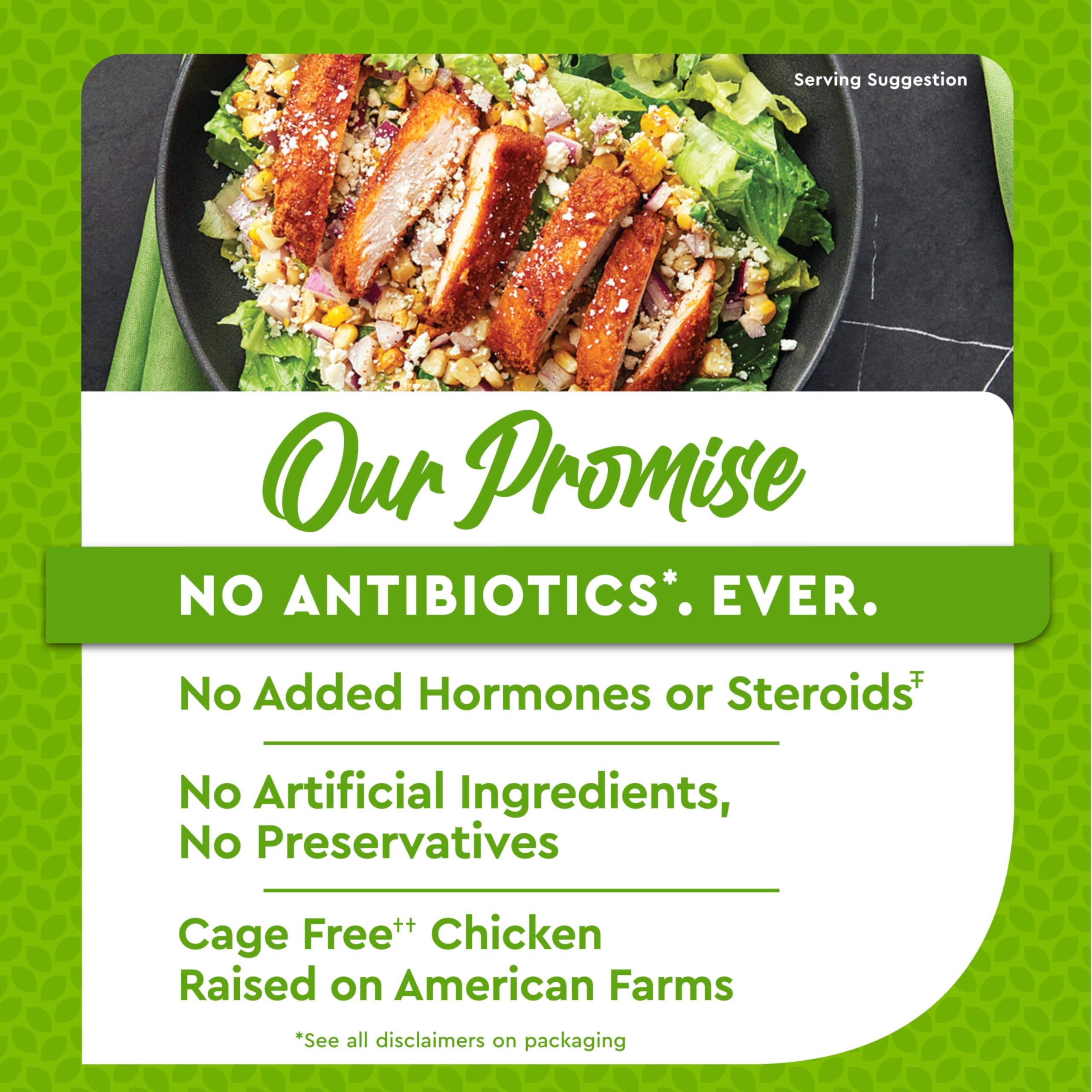 Just Bare Chicken Lightly Breaded Spicy Breast Fillets Fully Cooked 22 G Protein Frozen 1 50 LB — view 4