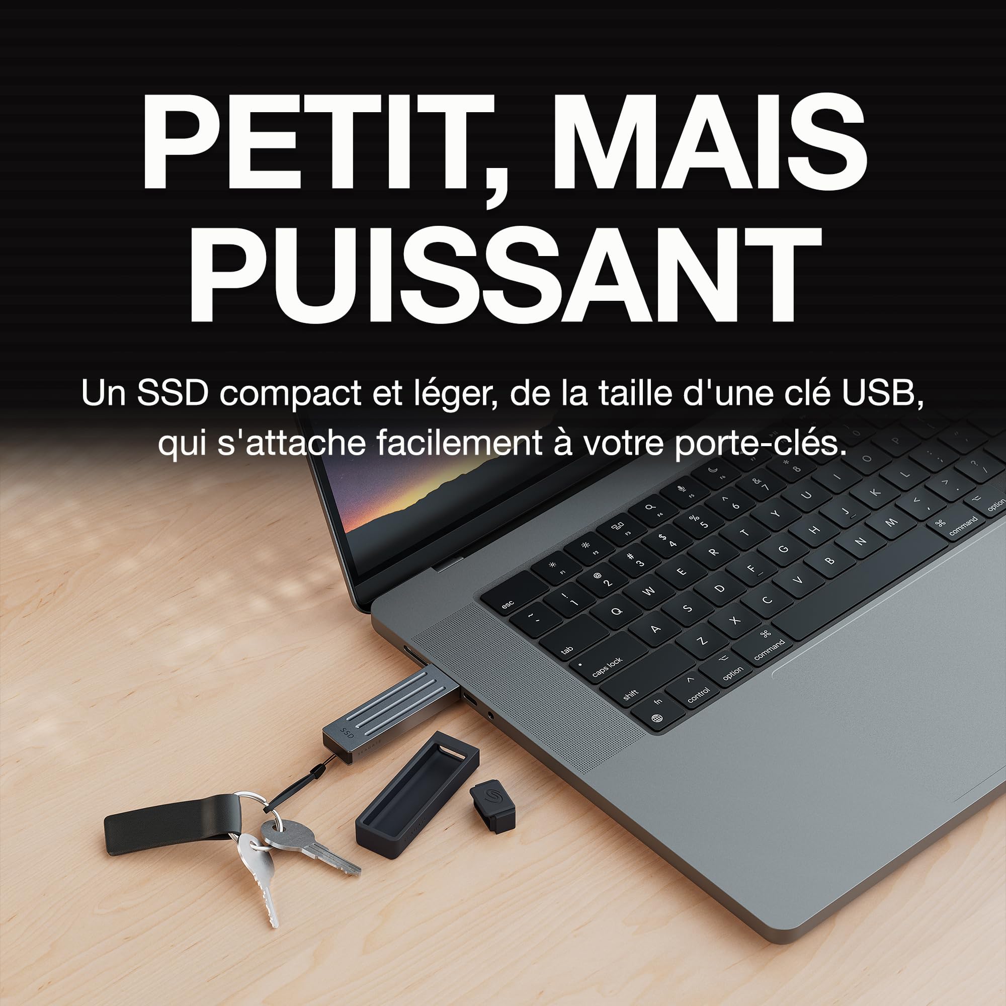 Seagate Ultra Compact 1To, SSD Extern, 1000MB/s, USB 3.1 Typ C, Data Rescue Service (STMX1000400)