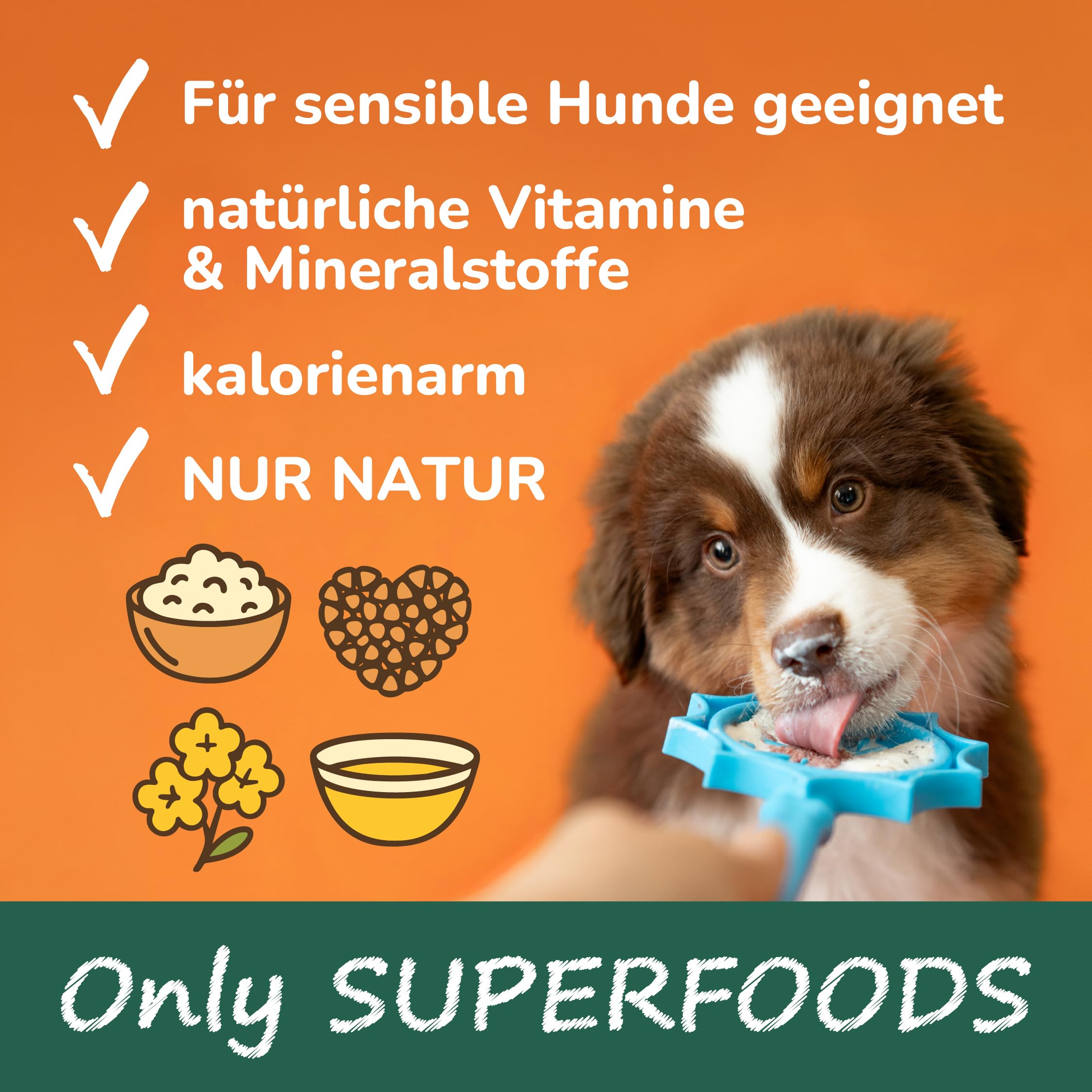 QCHEFS Starterbox für Hunde Pulver für Zahnpflege und Darmgesundheit zugleich bei Erbrechen, Blähungen und Durchfall