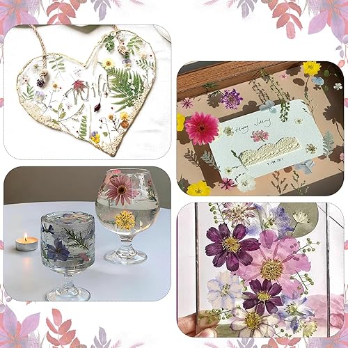 Vista 41 de 104 flores secas prensadas naturales de resina, flores secas para accesorios de resina, flores secas para álbumes de recortes, manualidades, moldes
