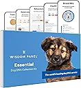 Wisdom Health Essential Dog DNA Kit | Most Accurate Test | 365+ Breeds | 30 Genetic Health Conditions | 50+ Traits, Relatives, Ancestry | Pack of 1