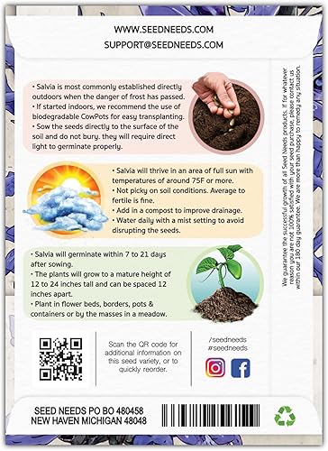 Miniatura 2 de Seed Needs Semillas de salvia azul zafiro para plantar Salvia farinacea paquete individual de 800 semillas cada una reliquia y polinización abierta