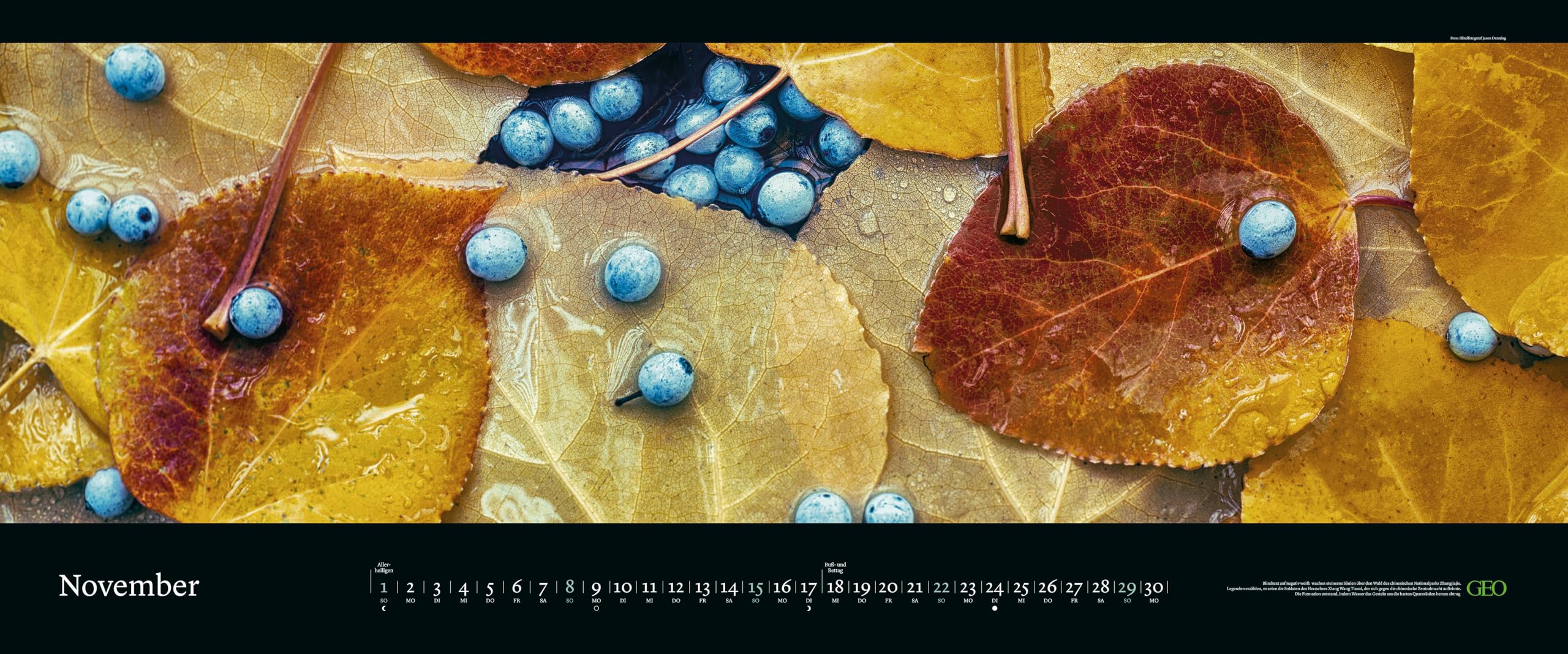 GEO - GEO Panorama: Die schönsten Gärten 2026 – XXL Wandkalender 120x50 cm, Panorama-Kalender mit Gartenfotografie, 12 Monatsblätter & Spiralbindung für Natur- und Gartenliebhaber