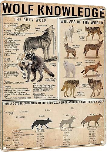 HYBLOM Letrero de metal vintage con conocimiento de lobo  Póster educativo de vida silvestre para decoración de pared, bar, cafetería, aula, baño,