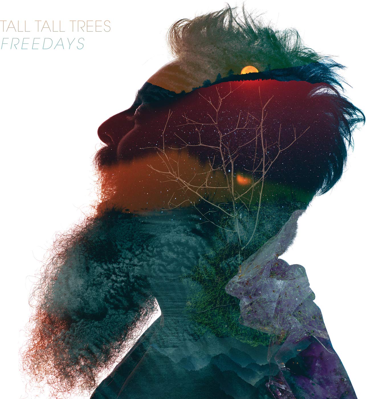 Freedays [Audio CD] Tall Tall Trees