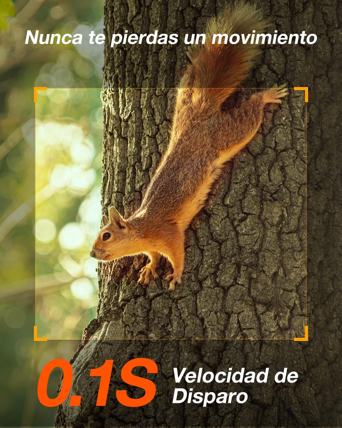 iZEEKER 4G LTE Cámara de Caza Solar, Cámara de Fototrampeo 2K PTZ con Tarjeta SD & SIM Vista Completa de 360° Transmisión en Vivo IR Sin Brillo Visión Nocturna Detección de Movimiento IP65 Impermeable