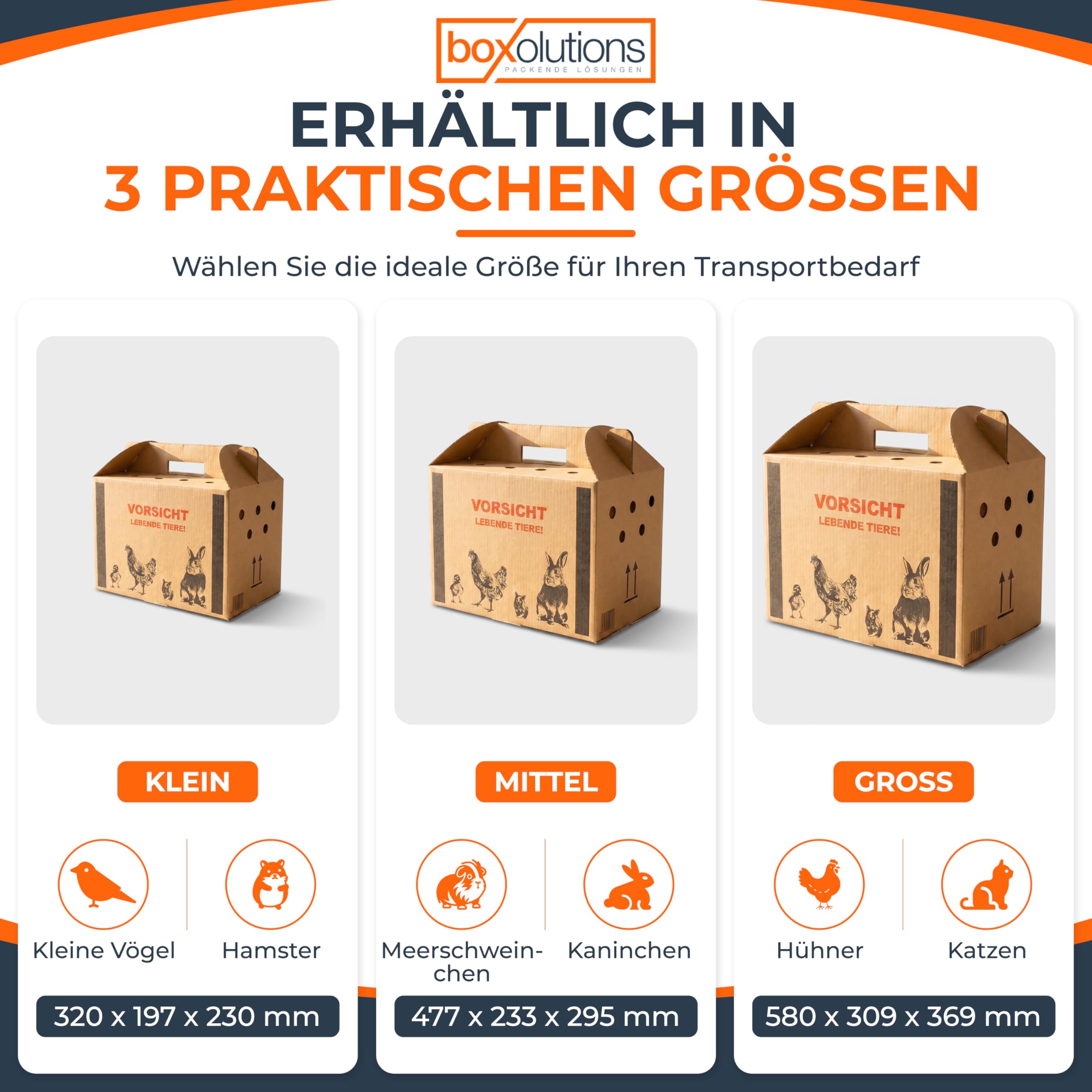 Transportkarton für Tiere Tiertransportkarton für Kleintiere - Geflügeltransportkiste - Hasen Transportbox - Hühnertransportbox - Transportbox Vogel - 580 x 309 x 369 mm (L) - 10 Stück