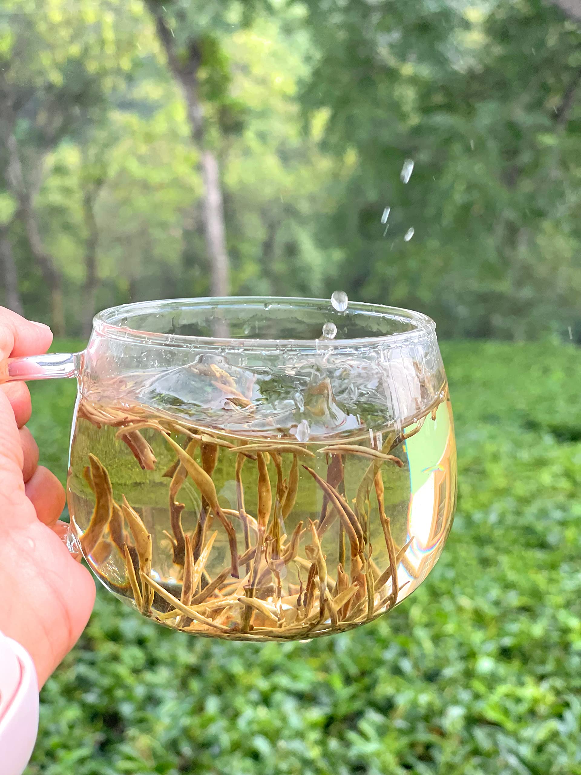 HIMALAYAN BREW SILVER NEEDLES WHITE TEA - Image 3 thumbnail