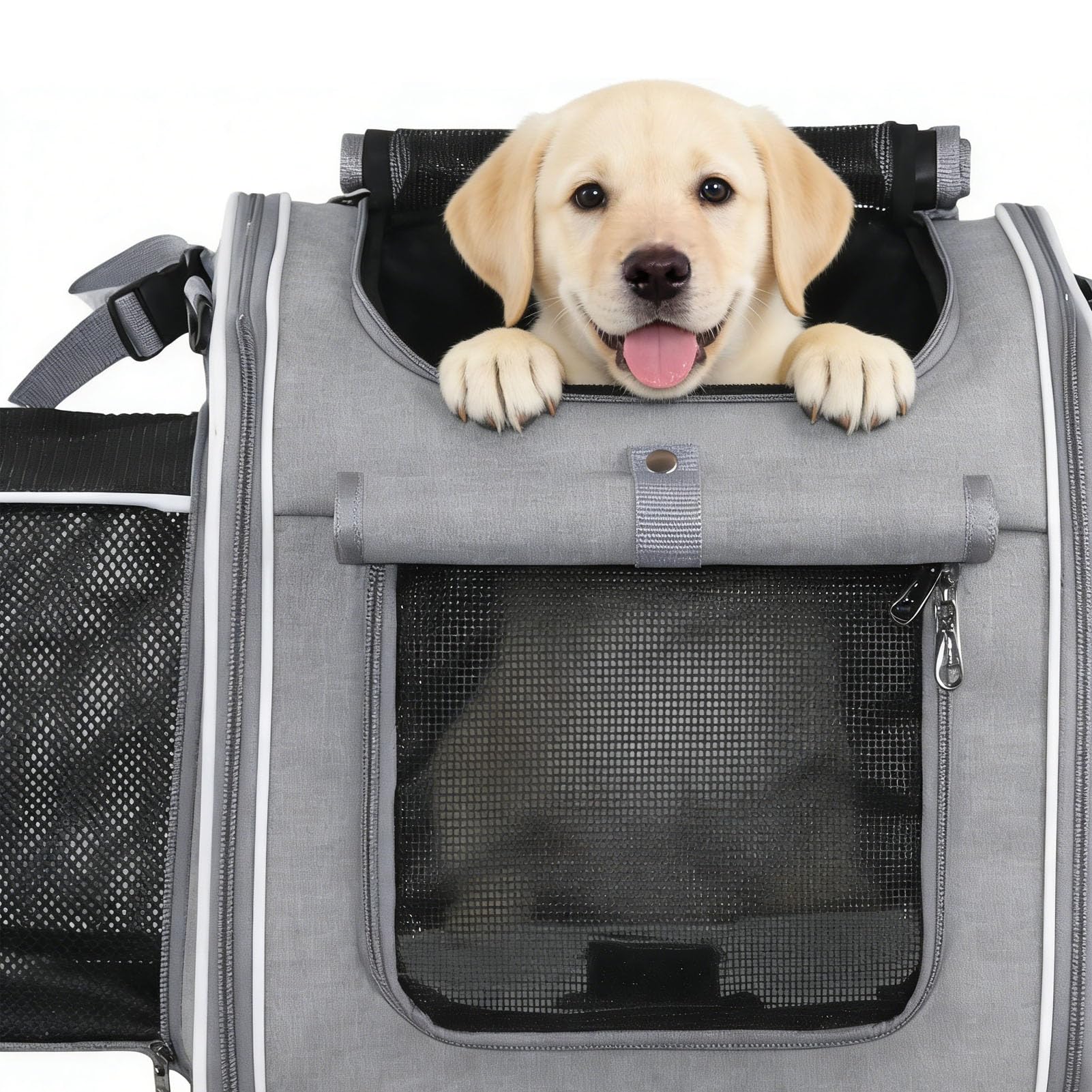 Cestino per Cani da Bici Fino a 8 Kg di Peso 4 Porte, 4 Mesh, Design Morbido Zaino Porta Animali da Bici con Finestre Robusta Struttura in Metallo Tessuto Oxford Resistente (GREY)