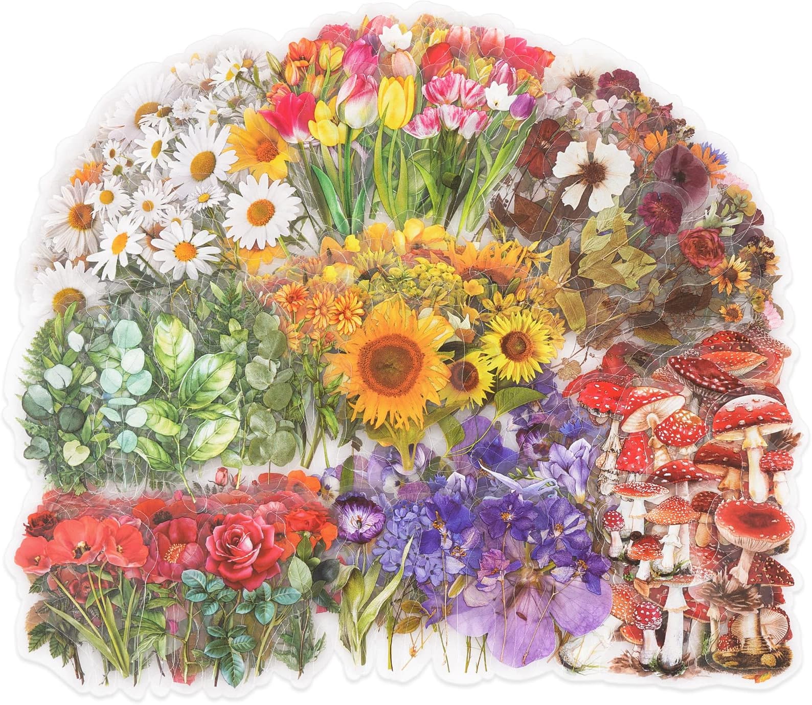 Knaid Botanical Stickers Set (320 Pieces) Pressed Flower Resin Decals Transparent Daisy Tulip Eucalyptus Leaf Mushroom Journaling Sticker for Scrapbook Card Making Junk Journal Bullet Journal Planner