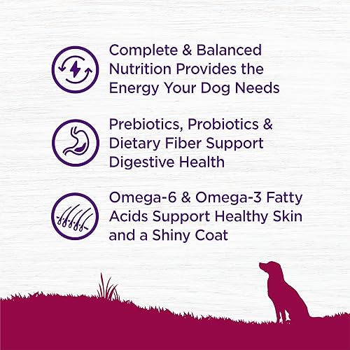 Miniatura 4 de Wellness Complete Health Small Breed Dry Dog Food with Grains Natural Ingredients Made in USA with Real Turkey for Dogs Up to 25 lbs Puppy Adult