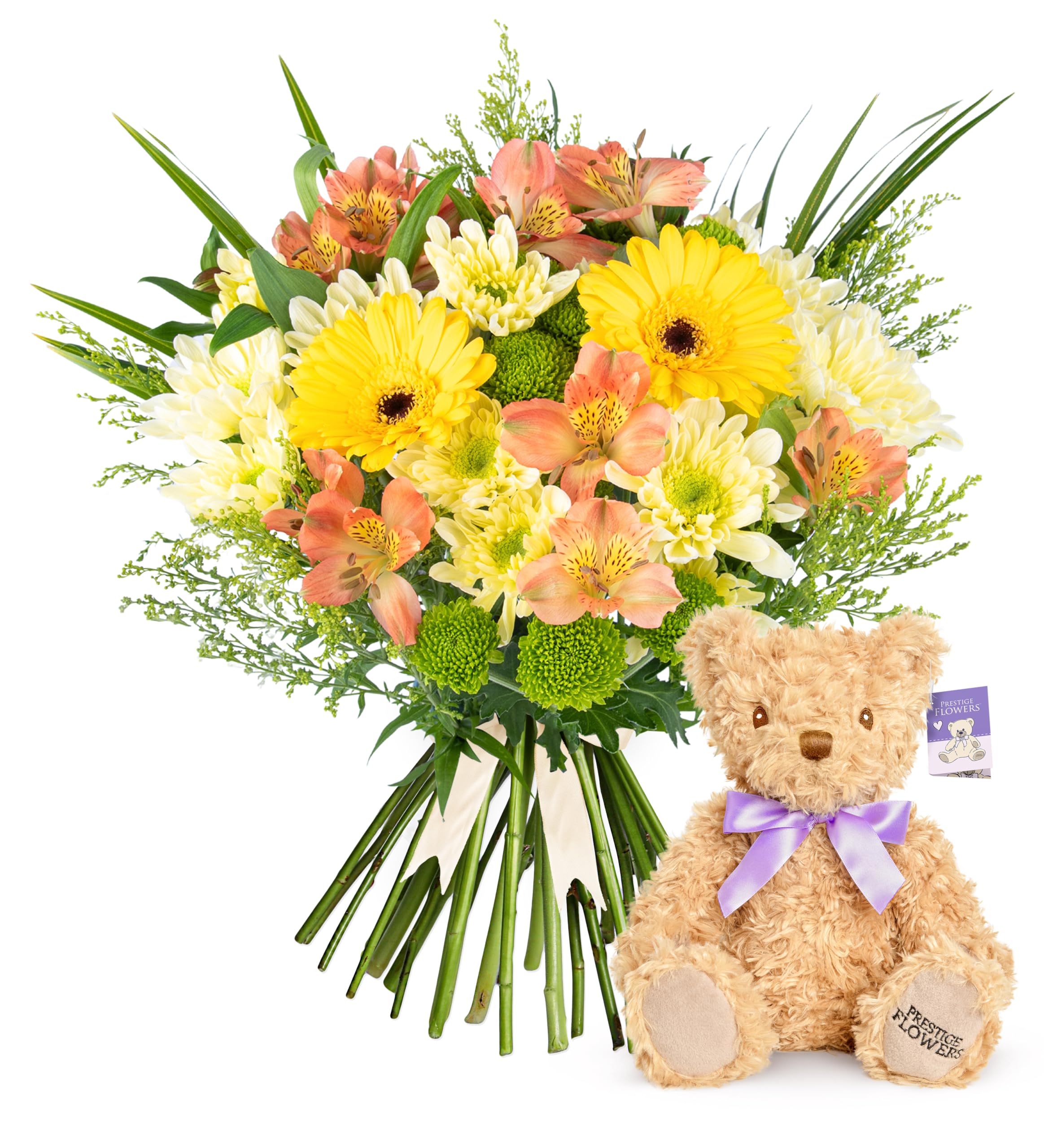 Seasons Joy - Fresh Flowers - Birthday, Anniversary, Get Well, Thank You, Occasion Flower - Cut Floral Arrangement for Gifts, Weddings, Sympathy, Celebrations, Mothers day (+ Teddy Bear)