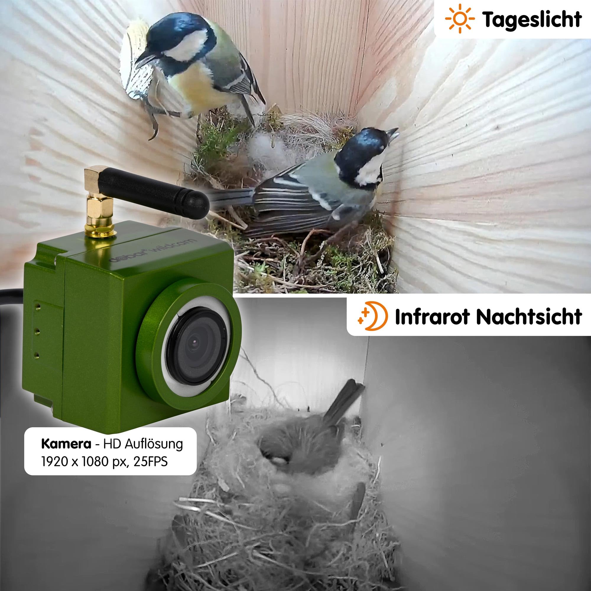 dobar® Großer Nistkasten Spitzdach aus Holz inklusive HD WiFi-Kamera und App mit austauschbaren Einfluglöchern - 25,5 x 22,5 x 53 cm - Grün-Braun