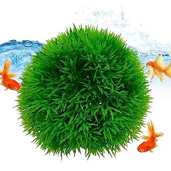 Amazon.co.jp: 水槽用 人工水草 水草 レイアウト 水槽