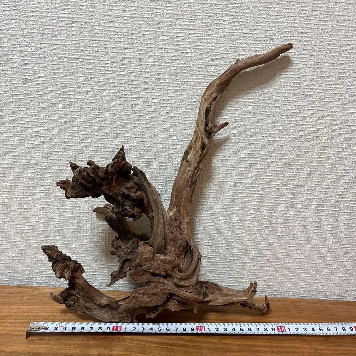 Amazon.co.jp: ADA ホーンウッド スリムウッド 流木 アクア