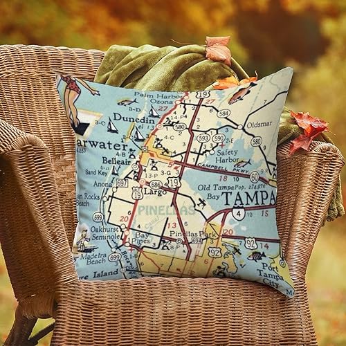 Miniatura 4 de Pinellas County Florida Map - Fundas de almohada para exteriores, impermeables, de 20 x 20 pulgadas, fundas de cojín decorativas para exteriores,