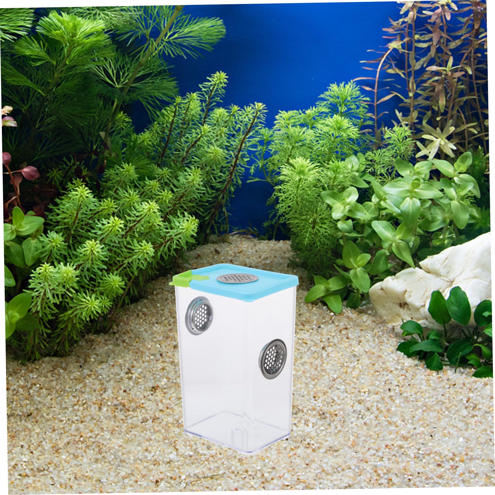 Milisten Transparent Reptile Feeding Box 6.69X4.13X3.15 Inch Lightweight Breeding Case with Ventilation for Small Lizards Spiders Frogs Corn Snakes Pet Supply - Image 2