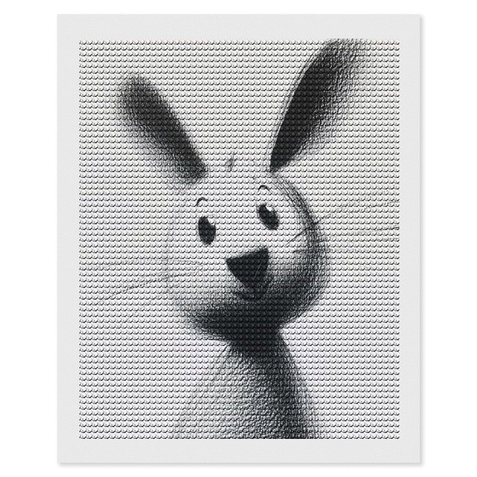 Junmoney Cute Bunny Illustration Diamond Painting Canvas Set 16"x20", for Women, Pleasing Wall Art Project, Aesthetic Room Decor, Gift Idea