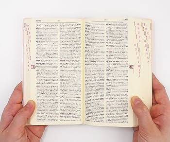 パーソナル英和・和英辞典 第3版 ミニーマウス版 | 赤瀬川史朗