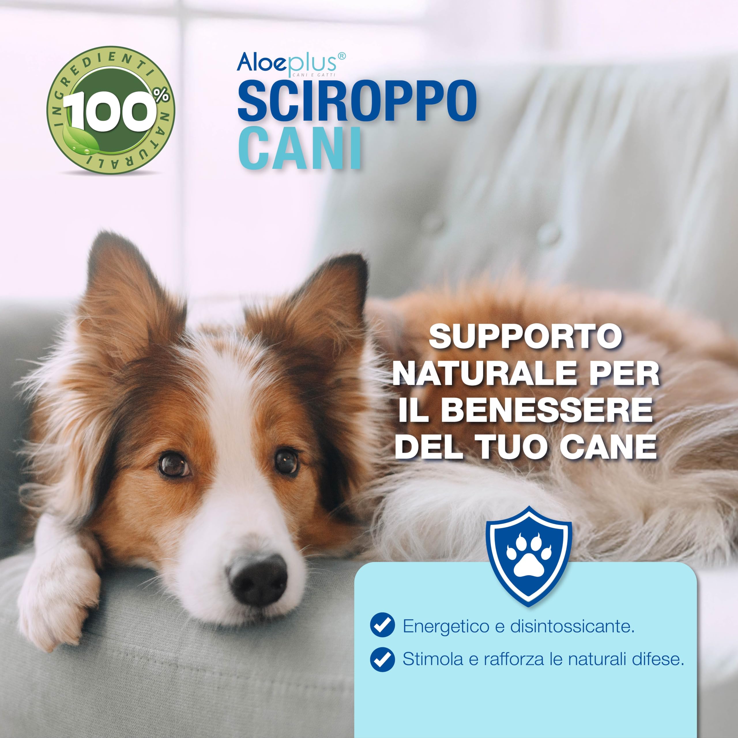 ALOEPLUS Cani Sciroppo 250ml - Alimento Complementare Energetico, Disintossicante a base di Aloe Arborescens BIO, Rafforza le Naturali Difese, Ideale come ricostituente Cani Anziani e Cuccioli