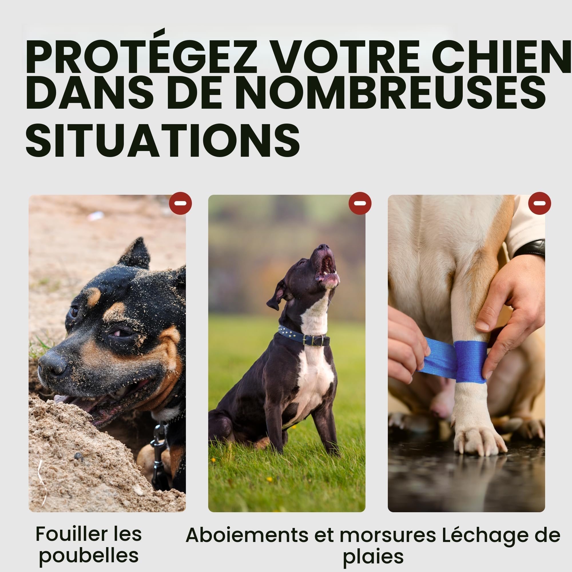 BronzeDog Muselière pour Chien en métal Amstaff Panier en Fil de Fer Sangles réglables en Cuir pour Grands Chiens